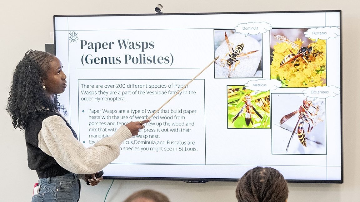 Synia Brown presenting about paper wasps at the CLIMB commencement program.